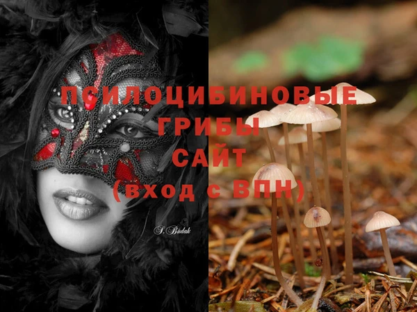 MDMA Premium VHQ Богородицк