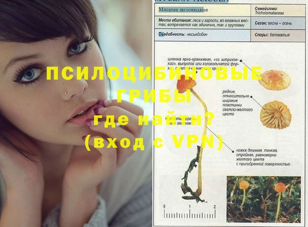 MDMA Premium VHQ Богородицк